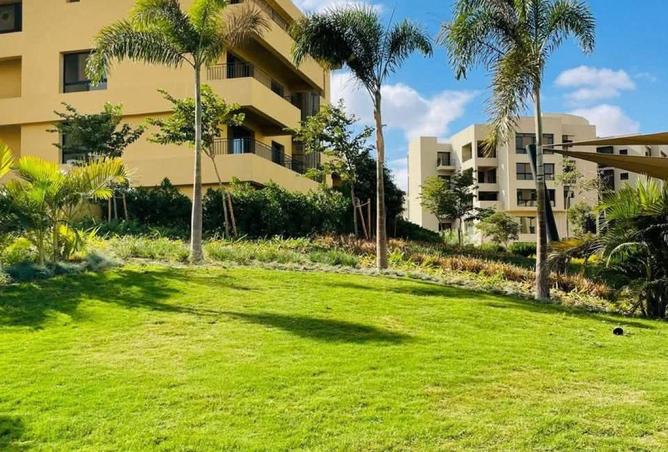 68799941 - Property Image 2