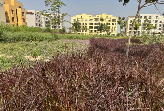 68799941 - Property Image 3