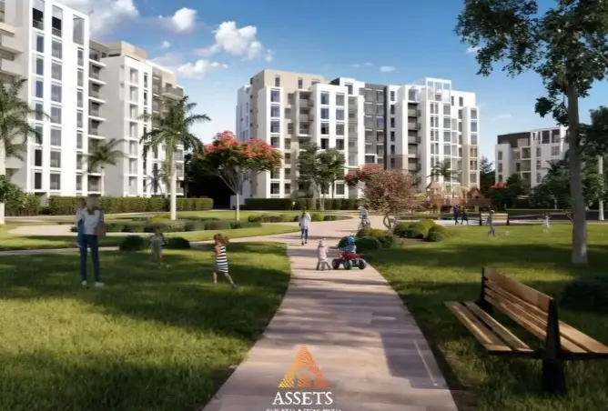116496252 - Property Image 2