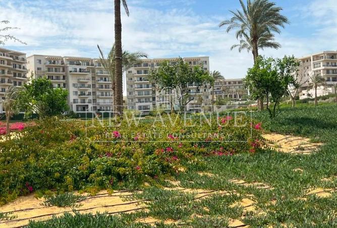 103478801 - Property Image 2