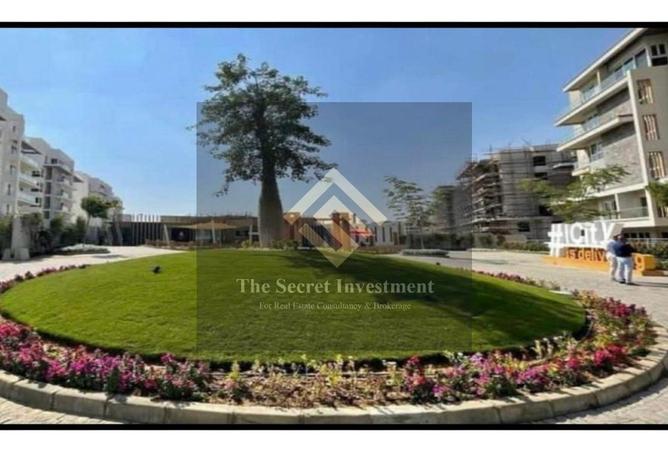 56493204 - Property Image 2