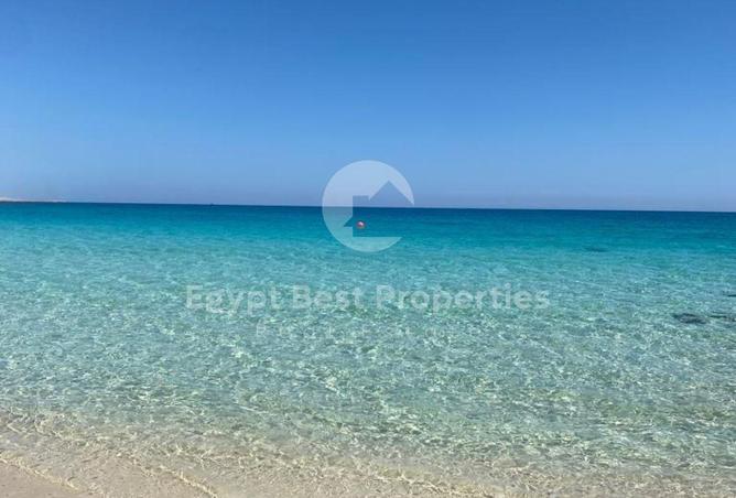 87511983 - صورة العقار 3