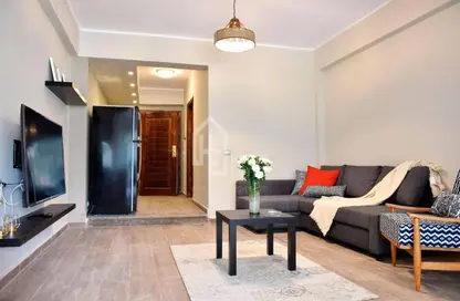 شقة - غرفة نوم - 1 حمام للايجار في شارع احمد حشمت - الزمالك - القاهرة