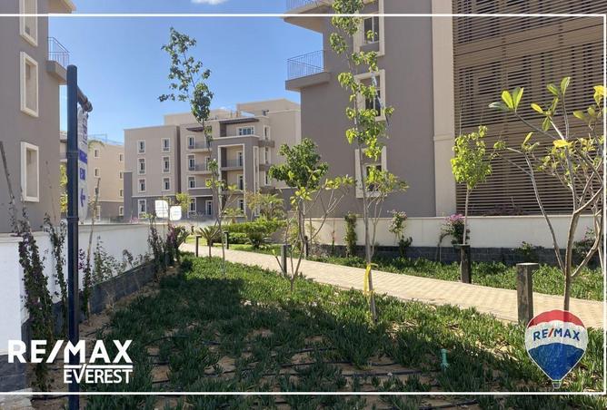 8589494 - Property Image 3