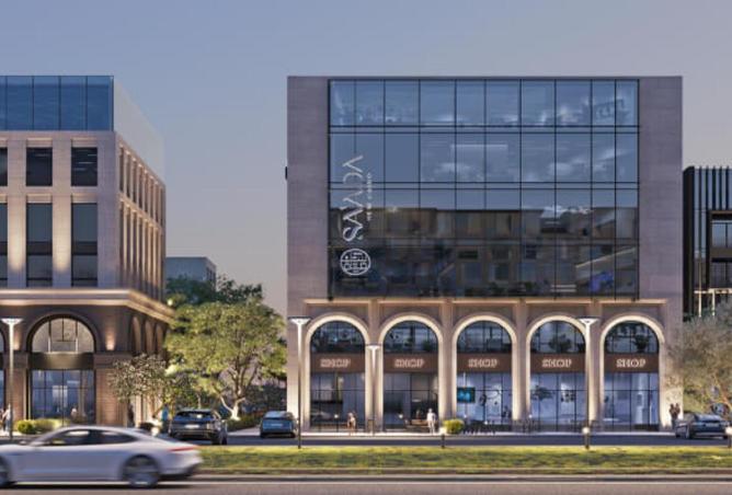 66961699 - صورة العقار 3