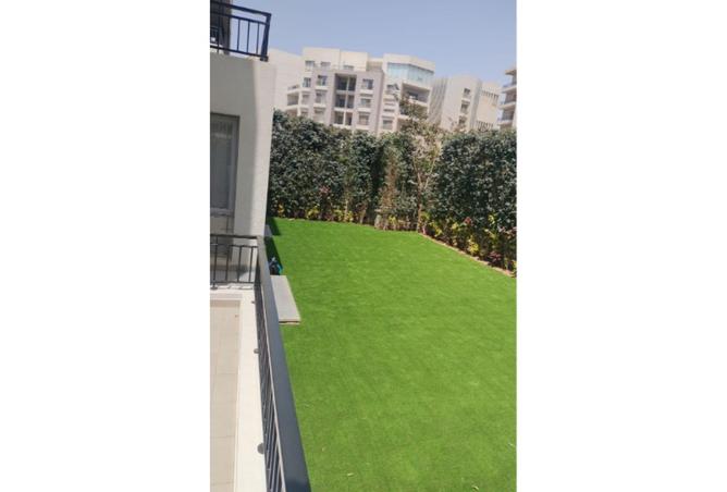 71923776 - Property Image 2