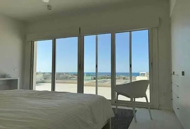 111608219 - Property Image 3
