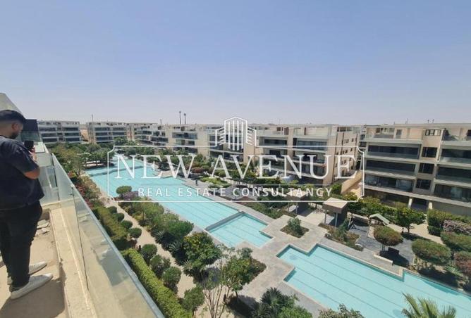 55008083 - Property Image 3