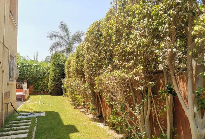 8449403 - Property Image 3