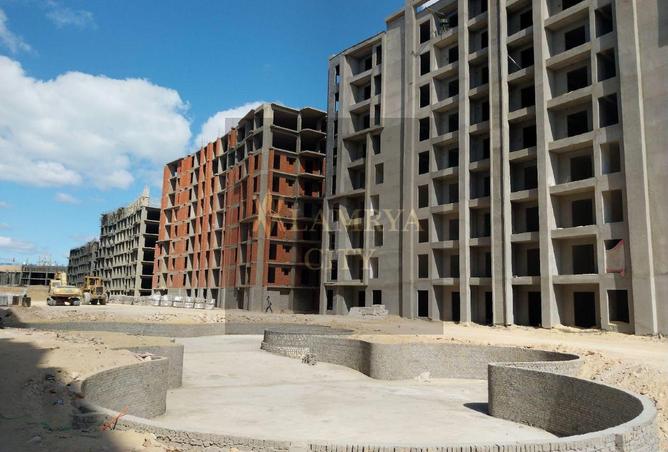 55504180 - Property Image 3