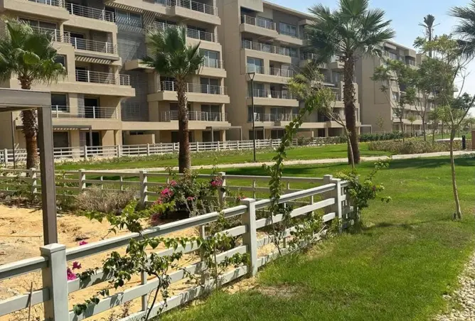 117271001 - Property Image 3