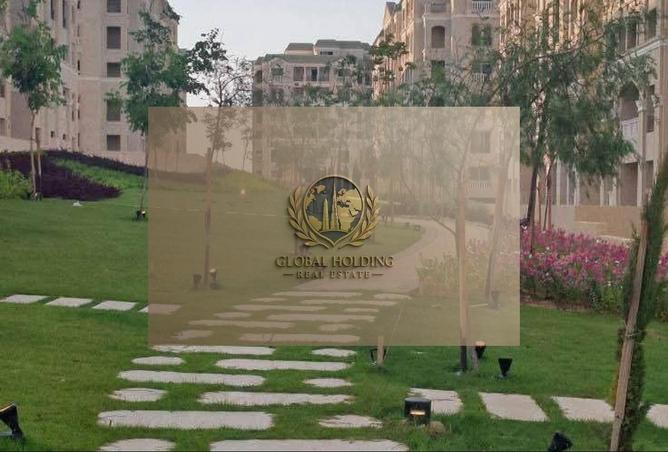 8537013 - صورة العقار 2