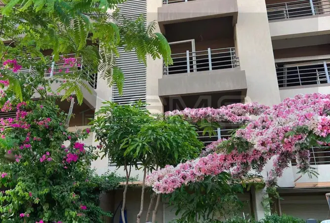 121654836 - صورة العقار 3