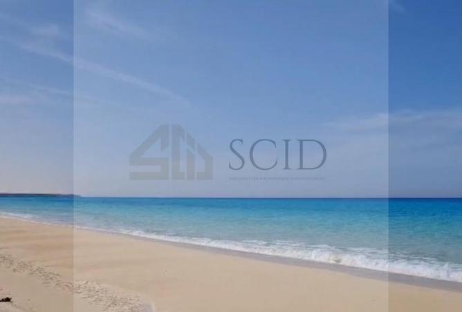 64895208 - صورة العقار 2