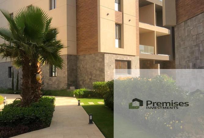 91849824 - Property Image 3