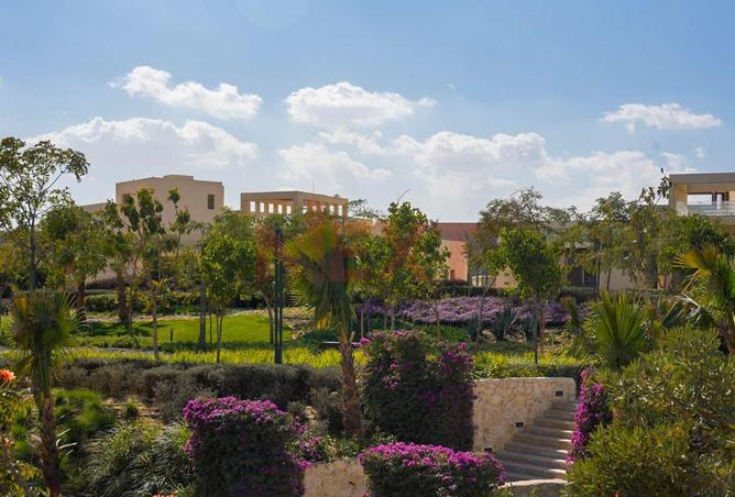 54241913 - Property Image 3