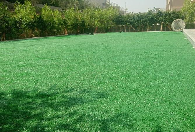 56245683 - صورة العقار 3