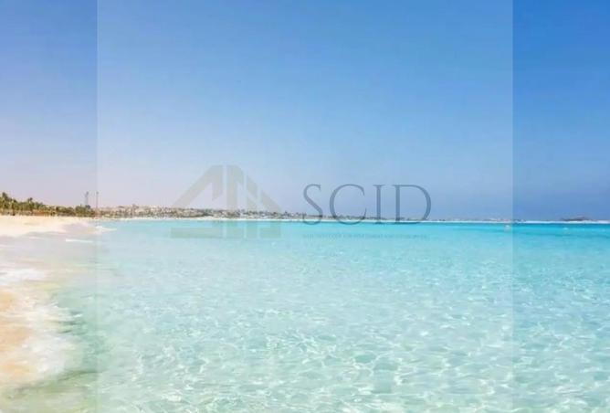 100917359 - صورة العقار 3