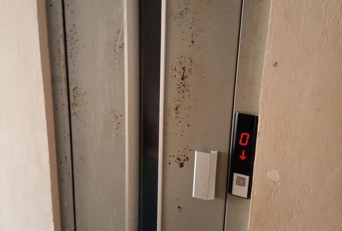 2OlyD0zx2iO - Property Image 3