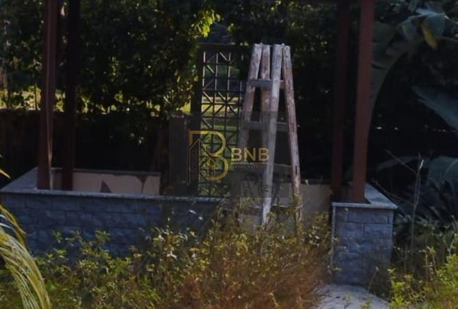 8686513 - الصورة الرئيسية للعقار