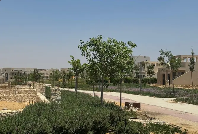 95766508 - Property Image 3