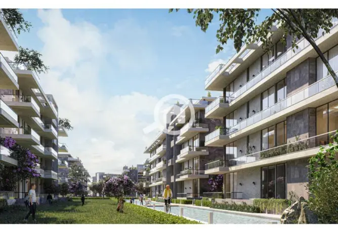 115434200 - Property Image 2