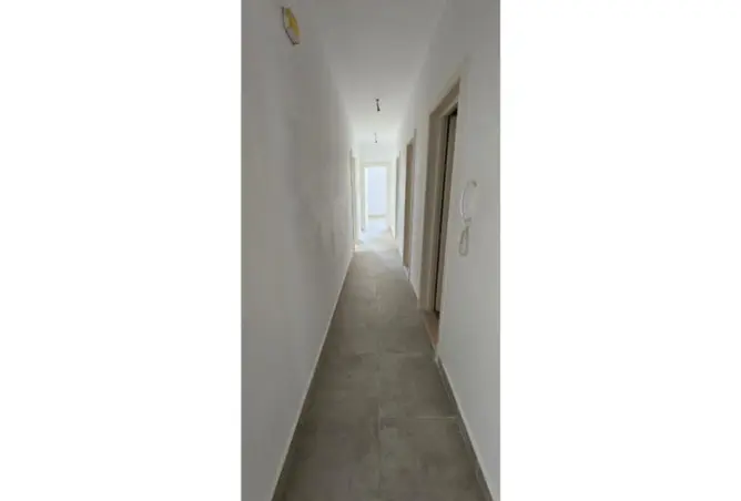 113247625 - Property Image 2