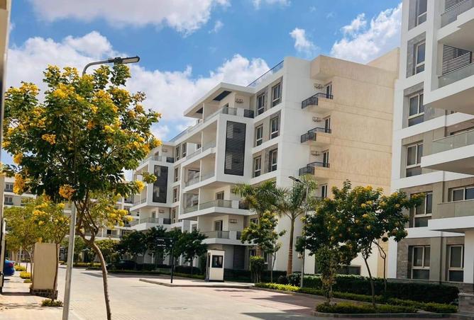 8518298 - Property Image 2