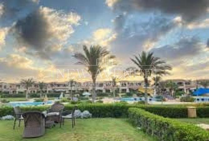 97713858 - صورة العقار 3