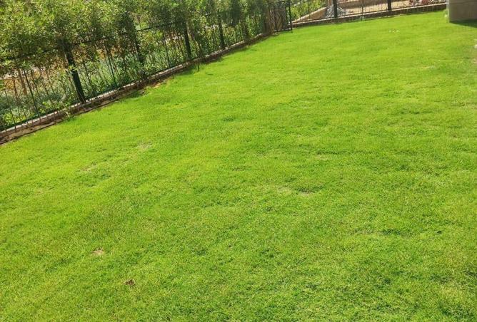 63886065 - صورة العقار 3