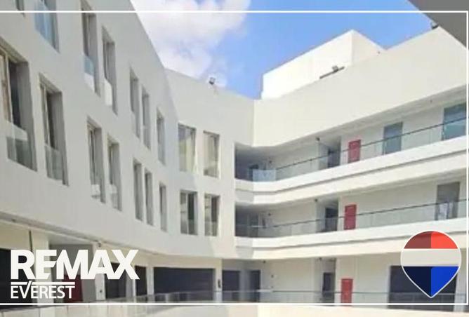 8658793 - Property Image 3