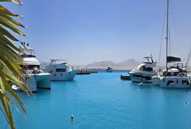 91291663 - الصورة الرئيسية للعقار