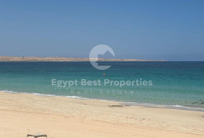 105172245 - Property Image 2