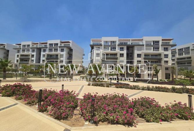 70362021 - صورة العقار 3