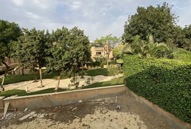 118531512 - Property Image 3