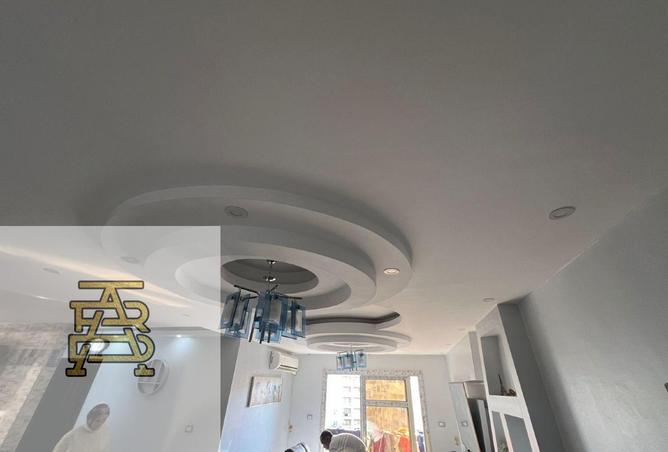 8587518 - Property Image 3