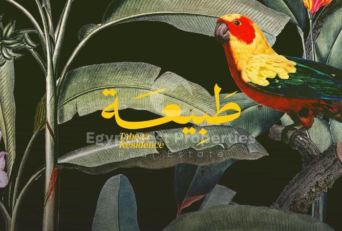 8574904 - صورة العقار 2