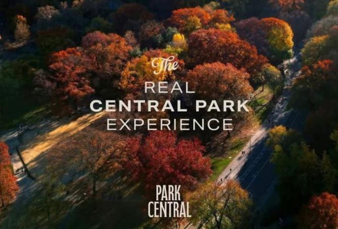 8694467 - Property Image 3