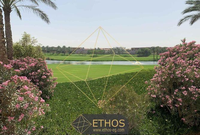 52975727 - صورة العقار 2