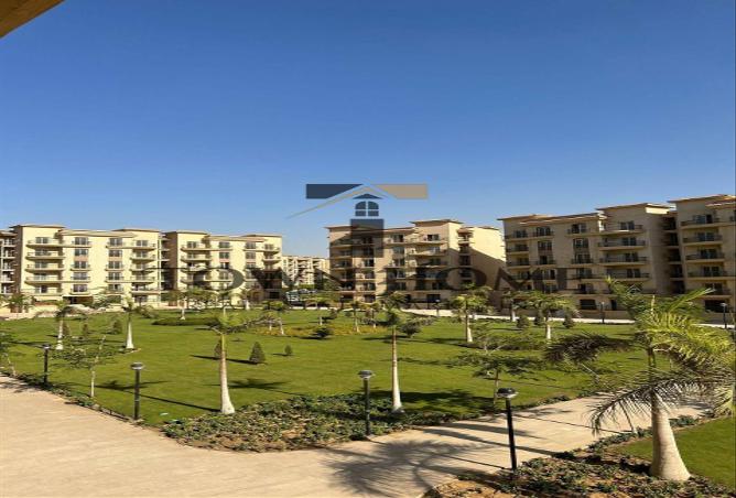 55246737 - صورة العقار 2