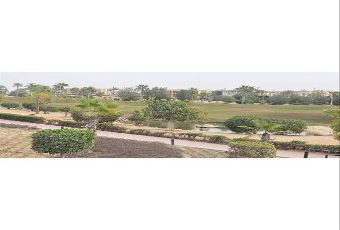 66431398 - Property Image 2