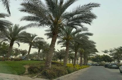 شقة - 3 غرف نوم - 4 حمامات للايجار في نيو جيزة - طريق مصر اسكندرية الصحراوي - مدينة 6 أكتوبر - الجيزة شقة - 3 غرف نوم - 4 حمامات للايجار في نيو جيزة - طريق مصر اسكندرية الصحراوي - مدينة 6 أكتوبر - الجيزة