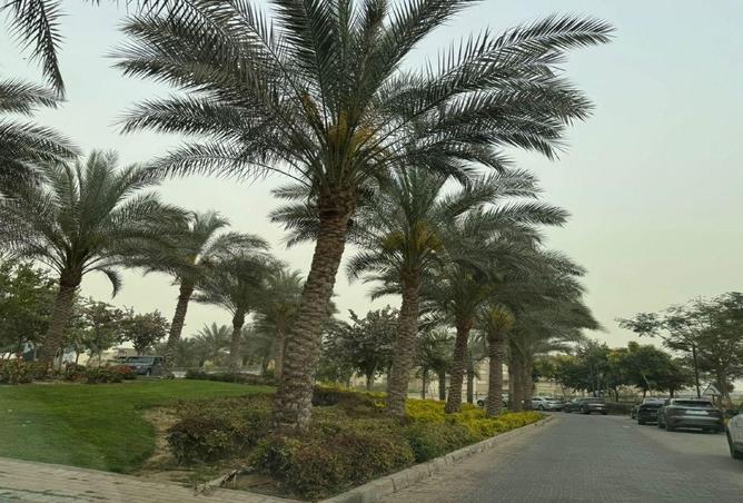 89891959 - صورة العقار 3