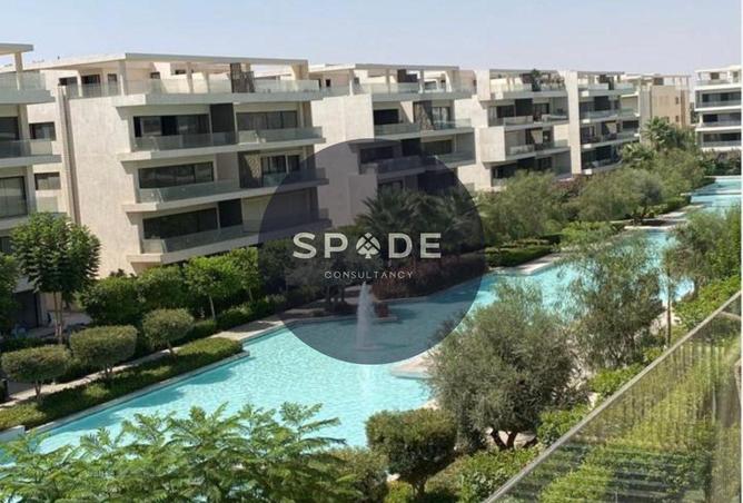 68792822 - Property Image 3