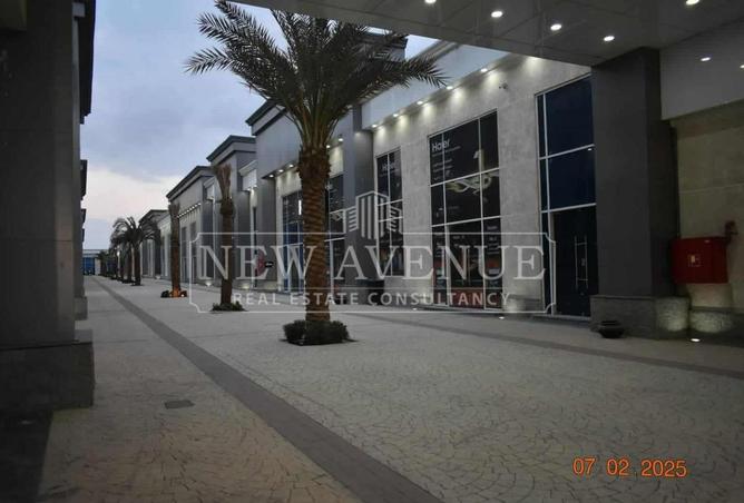 97995519 - صورة العقار 3