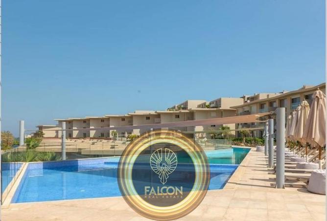 58000741 - Property Image 3