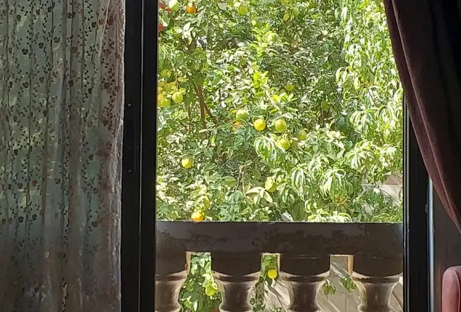 120885405 - Property Image 3
