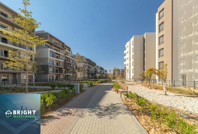 8580276 - Property Image 2