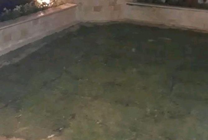 8634055 - صورة العقار 3