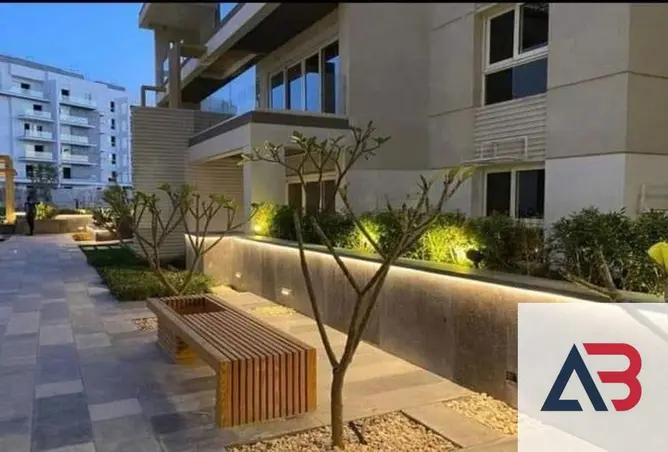 116229877 - Property Image 3